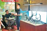 Trần Đăng Minh: Thủy sinh cảnh - sứ mệnh nâng tầm nghệ thuật "nước tĩnh vật động"