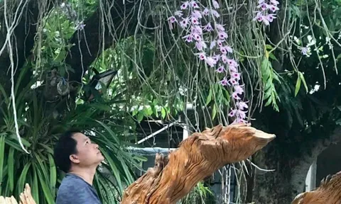 Nghệ nhân Phạm Minh Sơn: Người đưa sắc xanh trở lại không gian sống đô thị