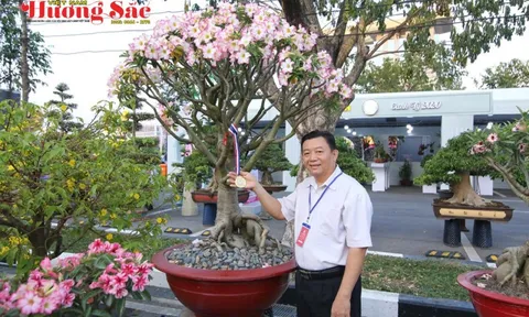 Nghệ nhân Huỳnh Đức Thuận: Mỗi gốc sứ là một tác phẩm tâm huyết