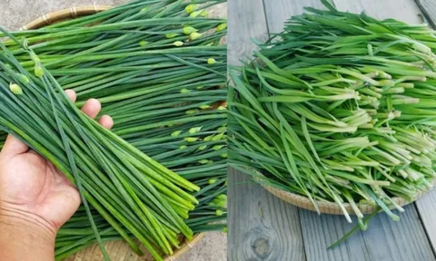 Loại rau dân dã người Việt ăn hàng ngày nhưng ít ai biết tác dụng với nam giới