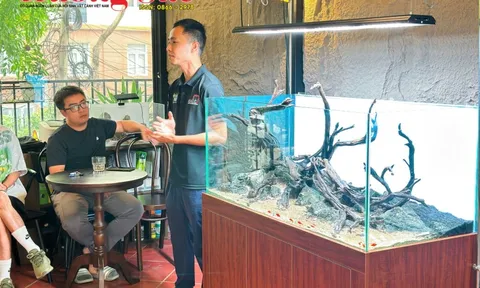 Trần Đăng Minh: Thủy sinh cảnh - sứ mệnh nâng tầm nghệ thuật "nước tĩnh vật động"