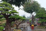 Quyết định về việc công nhận “Nhà vườn Sinh vật cảnh tiêu biểu” năm 2025