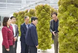 Trang trại rau khí canh công nghệ Israel hơn 10 tỷ đồng, trồng không cần đất giữa Hà Nội