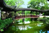 Thú chơi cá cảnh: Hành trình từ biểu tượng xa xỉ đến thú vui bình dân