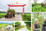 Bộ tiêu chí quốc gia về nông thôn mới giai đoạn 2026 - 2030