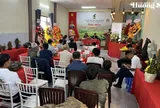 Đá cảnh Bảo Lộc: Từ phong trào tự phát đến hành trình chuyên nghiệp hóa