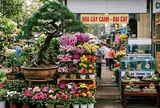 Sinh vật cảnh là ngành kinh tế sinh thái mũi nhọn: Sứ mệnh xác tín và đòn bẩy truyền thông của báo chí chính thống