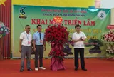 Gần 500 tác phẩm hội tụ tại triển lãm cây cảnh nghệ thuật Tam Hiệp