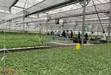 Sinh vật cảnh Hải Phòng trước cơ hội từ chính sách phát triển nông nghiệp hàng hóa