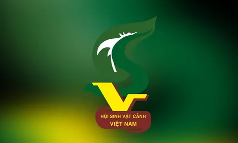 DANH SÁCH CÁC ĐƠN VỊ TRỰC THUỘC VÀ HỘI VIÊN TRỰC TIẾP
