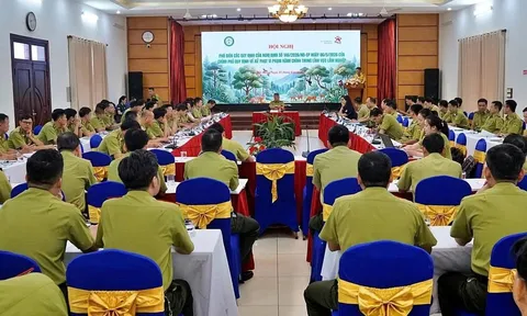 Hướng dẫn thực hiện Nghị định mới về xử phạt vi phạm hành chính trong lĩnh vực lâm nghiệp