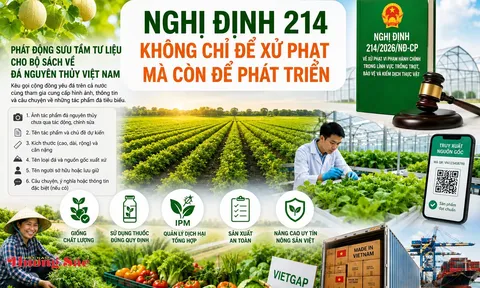 Kỳ 1: Nghị định 214/2026/NĐ-CP - Kỳ vọng siết chặt quản lý nhưng thực thi còn nhiều thách thức