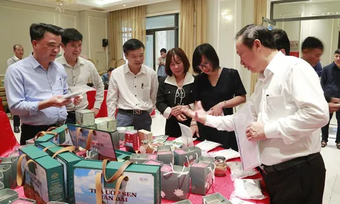 Cây sen và hành trình kiến tạo giá trị trên vùng đất khó