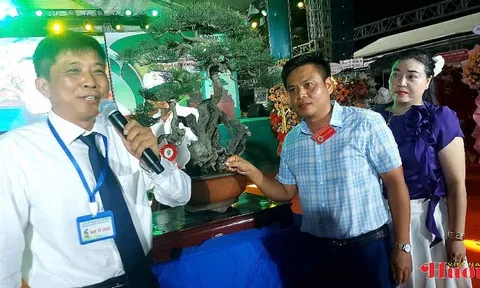 Kỷ niệm 2 năm thành lập CLB SVC Thiên Bút: Dấu ấn cây cảnh nghệ thuật Quảng Ngãi