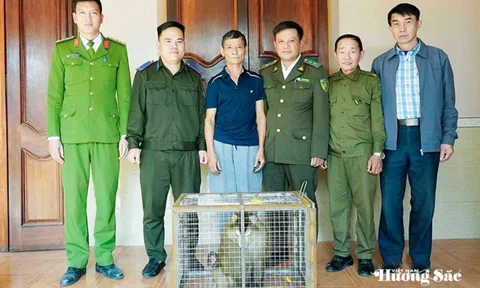 Hà Tĩnh: Người dân bắt được động vật quý hiếm, kịp thời bàn giao cho cơ quan chức năng