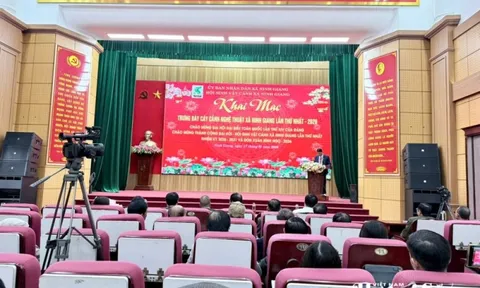 Khai mạc trưng bày cây cảnh nghệ thuật xã Ninh Giang lần thứ nhất năm 2026