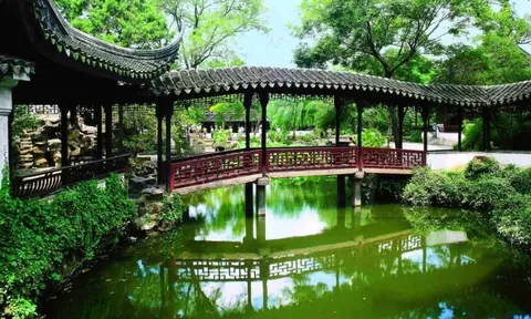 Thú chơi cá cảnh: Hành trình từ biểu tượng xa xỉ đến thú vui bình dân