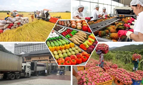 Hỗ trợ nông dân xây dựng thương hiệu, nhãn hiệu hàng hóa nông sản