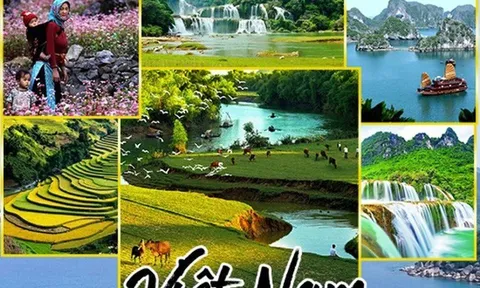 Tập trung nâng cao chất lượng, sức cạnh tranh của du lịch Việt Nam
