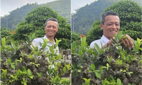 Nghề tạo tác bonsai và nghệ thuật nhìn thấy giá trị từ những điều chưa thành hình