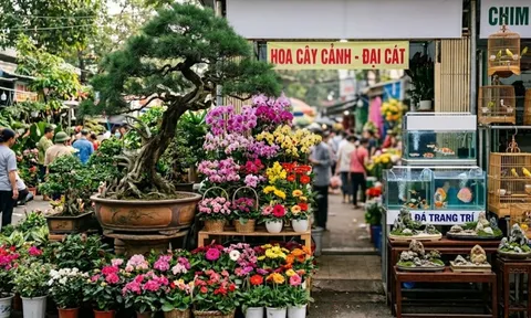 Sinh vật cảnh là ngành kinh tế sinh thái mũi nhọn: Sứ mệnh xác tín và đòn bẩy truyền thông của báo chí chính thống