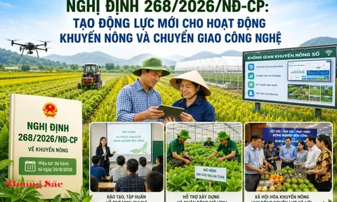 Nghị định 268/2026/NĐ-CP: Tạo động lực mới cho hoạt động khuyến nông và chuyển giao công nghệ