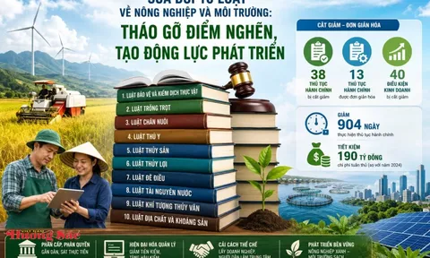 Sửa đổi 10 luật về nông nghiệp và môi trường: Tháo gỡ điểm nghẽn, tạo động lực phát triển
