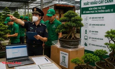 Bài 1 - Xuất khẩu cây cảnh: Nắm vững thủ tục để chinh phục thị trường quốc tế