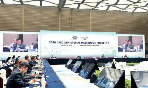Việt Nam cùng APEC kiến tạo tương lai xanh từ quản trị rừng bền vững