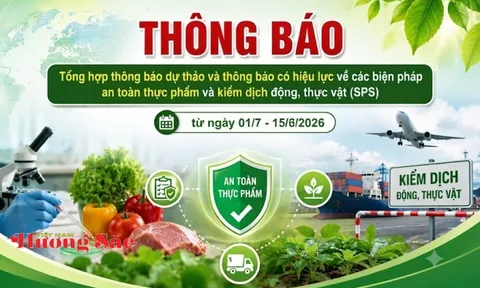 Văn phòng SPS Việt Nam cảnh báo 51 quy định mới có thể ảnh hưởng xuất khẩu nông, lâm, thủy sản