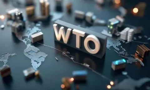 Thông báo SPS mới từ WTO: EU, Hoa Kỳ, Nhật Bản đồng loạt cập nhật quy định ảnh hưởng xuất khẩu nông sản Việt