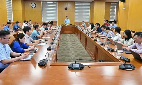 Nghị quyết 36 mở lối cải cách mã số vùng trồng, thúc đẩy xuất khẩu nông sản