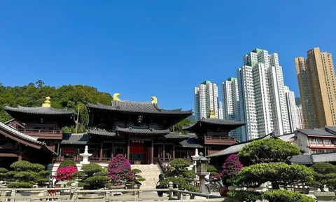 Giải thưởng Thành phố Xanh Thế giới AIPH 2026: Khi cây xanh trở thành hạ tầng thiết yếu của đô thị